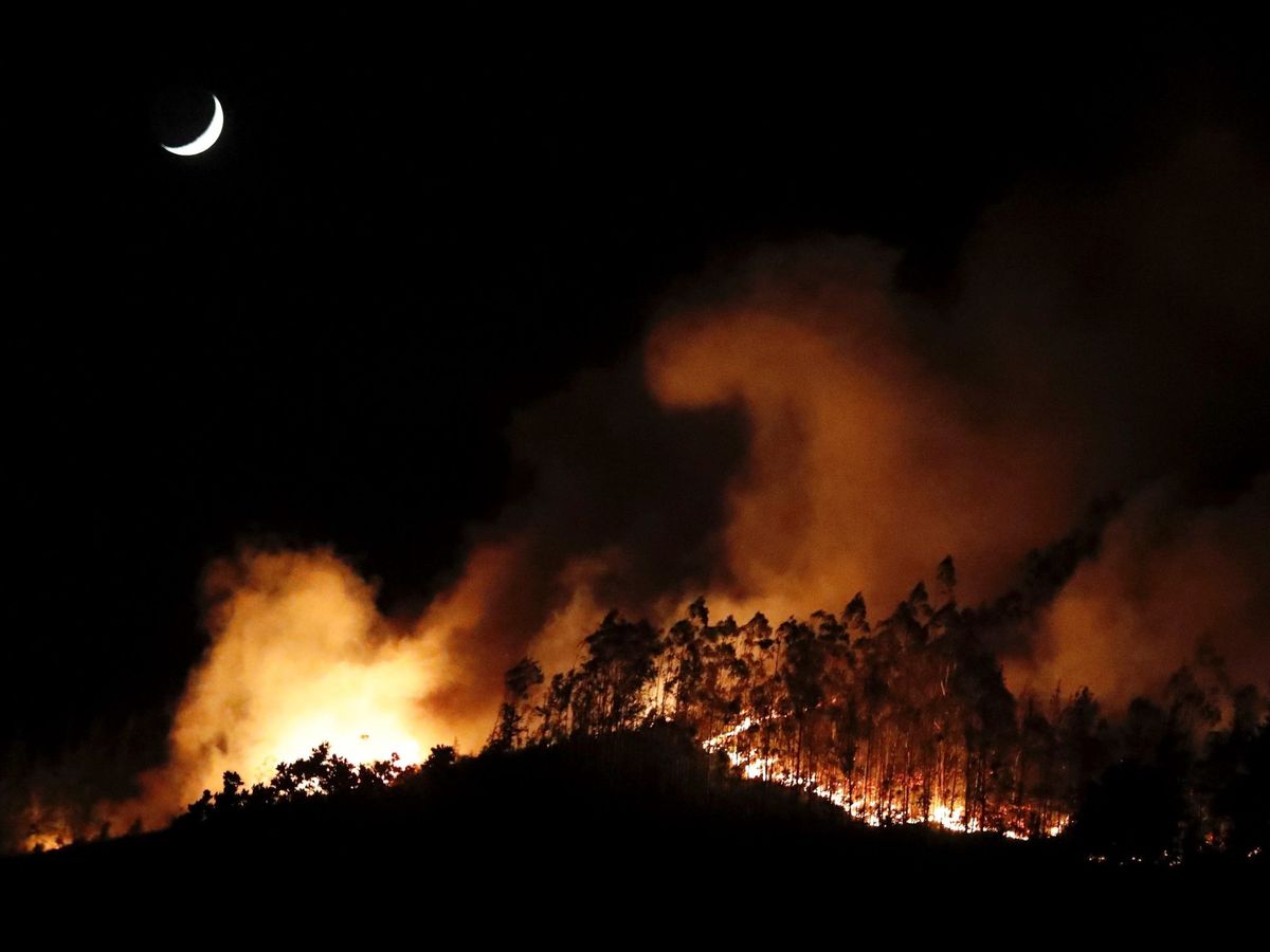 Foto: Imagen de archivo de un incendio en Asturias. (EFE)
