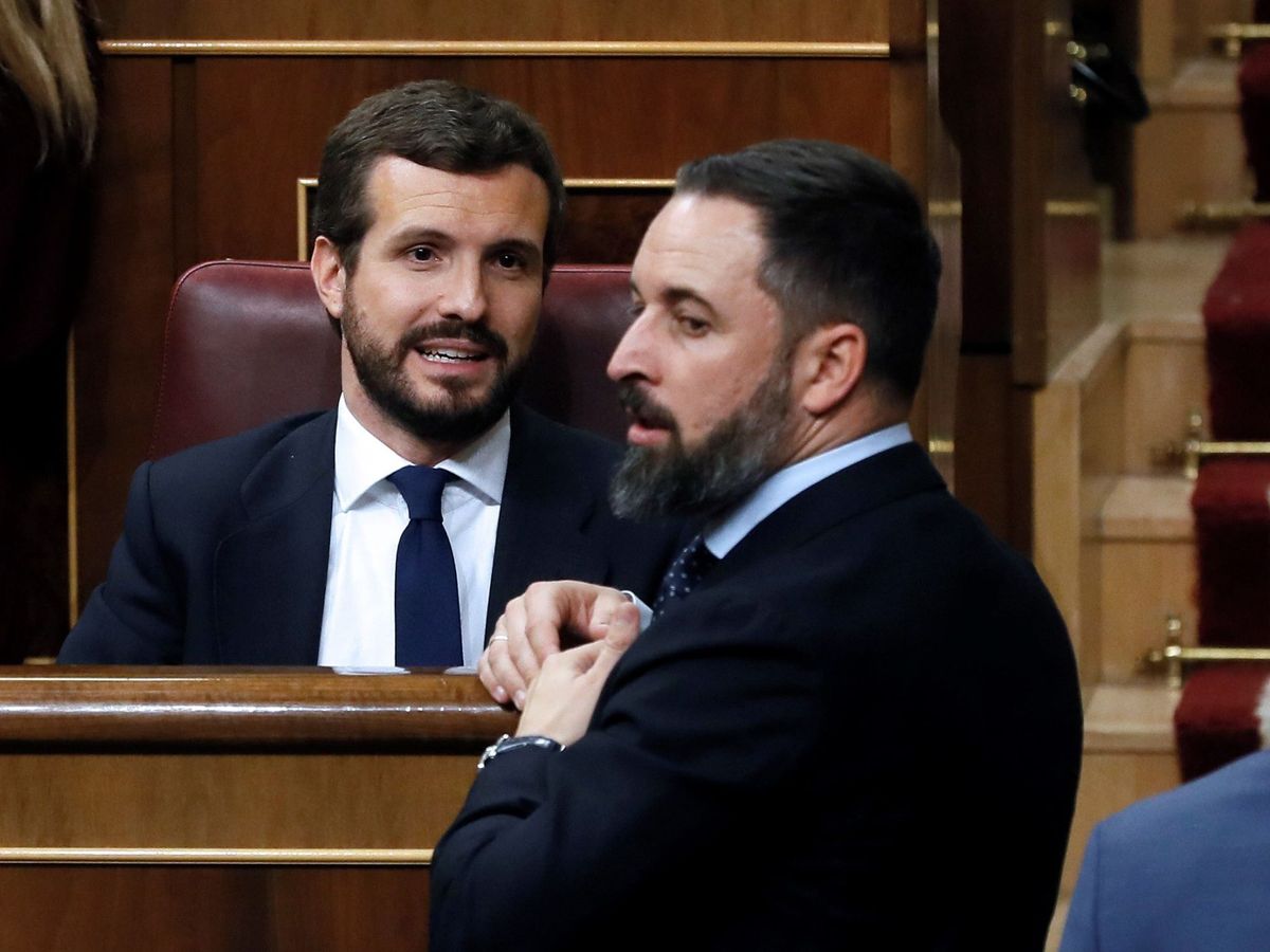 Foto: Pablo Casado (i) y Santiago Abascal conversan durante la sesión constitutiva de la Cámara Baja. (EFE)