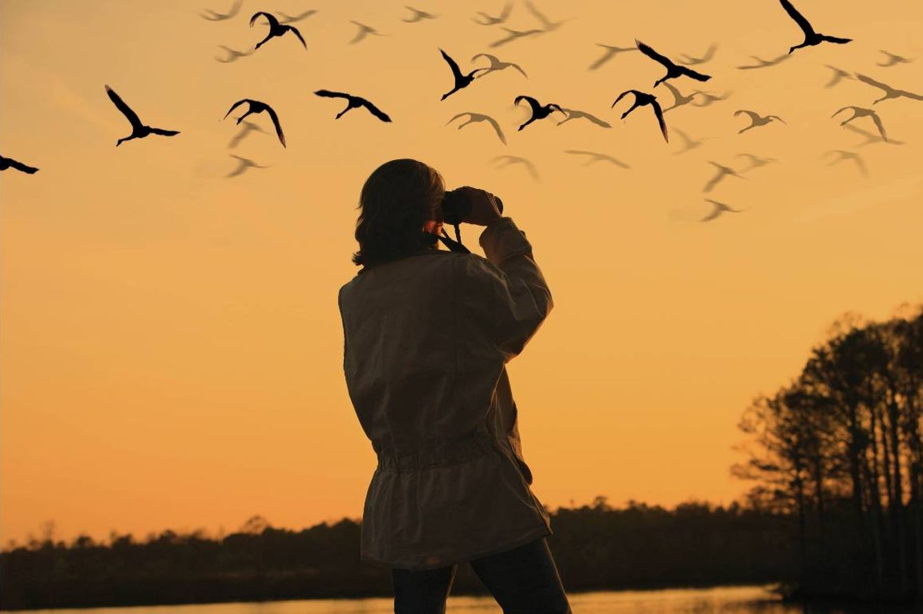 Foto: No te cortes y espía a los pájaros como todo buen 'birdwatcher'