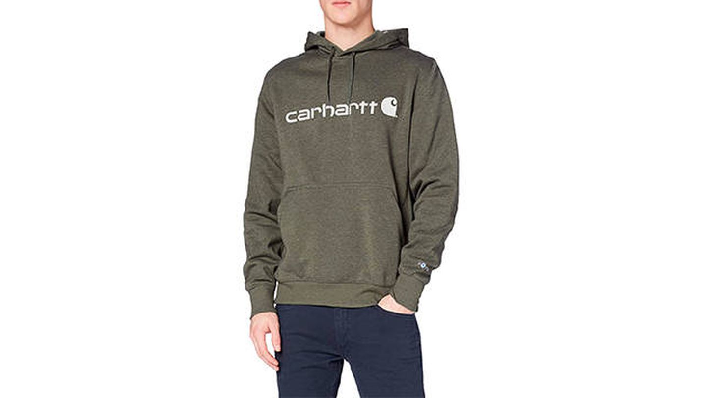 Carhartt Force Delmont Graphic Hooded Sweatshirt