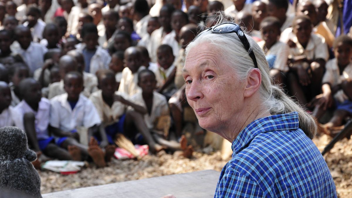 Jane Goodall: "Existe una gran falta de respeto a la naturaleza"