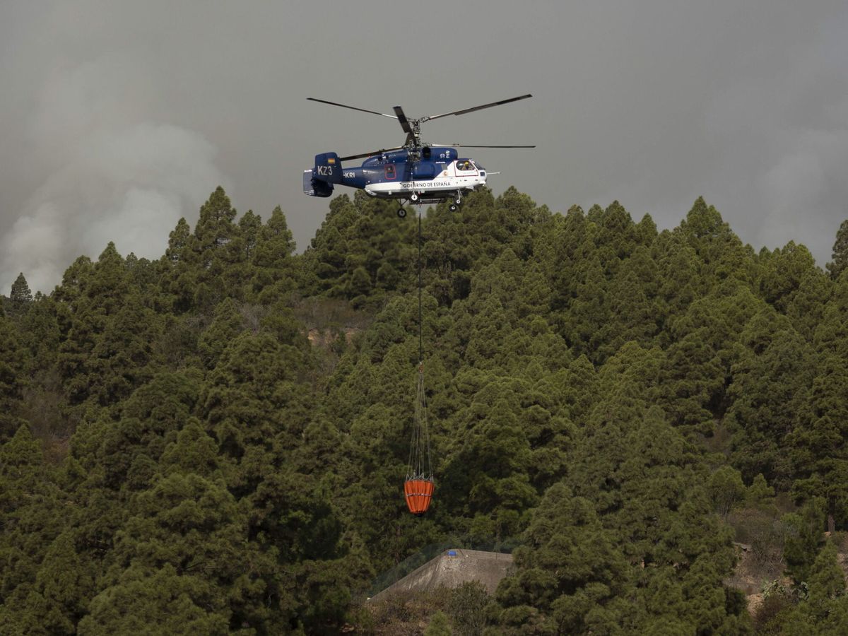 Foto: Vista de un helicóptero Kamov que realiza labores de extinción del incendio en los altos de Güímar (Tenerife). (EFE/Miguel Barreto)