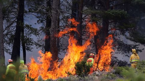 El incendio de Zamora acorrala al Gobierno de Mañueco por la gestión forestal
