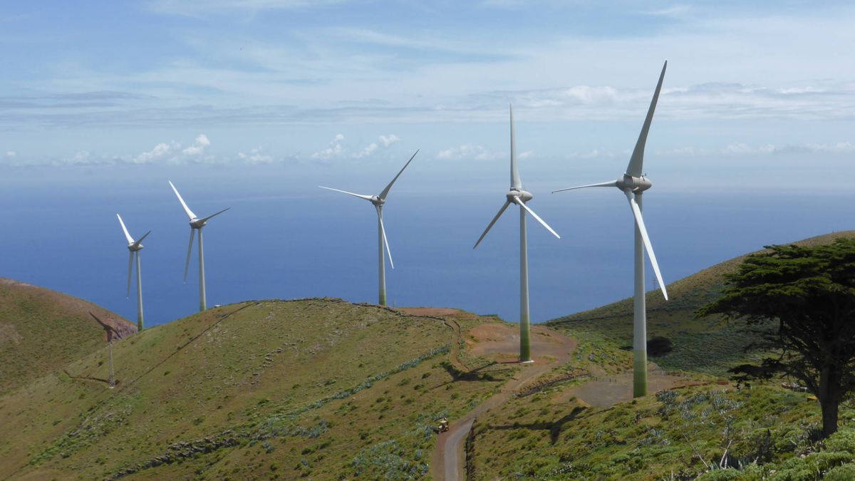 Forestalia barre en la subasta de renovables y se adjudica 1.200MW de energía eólica