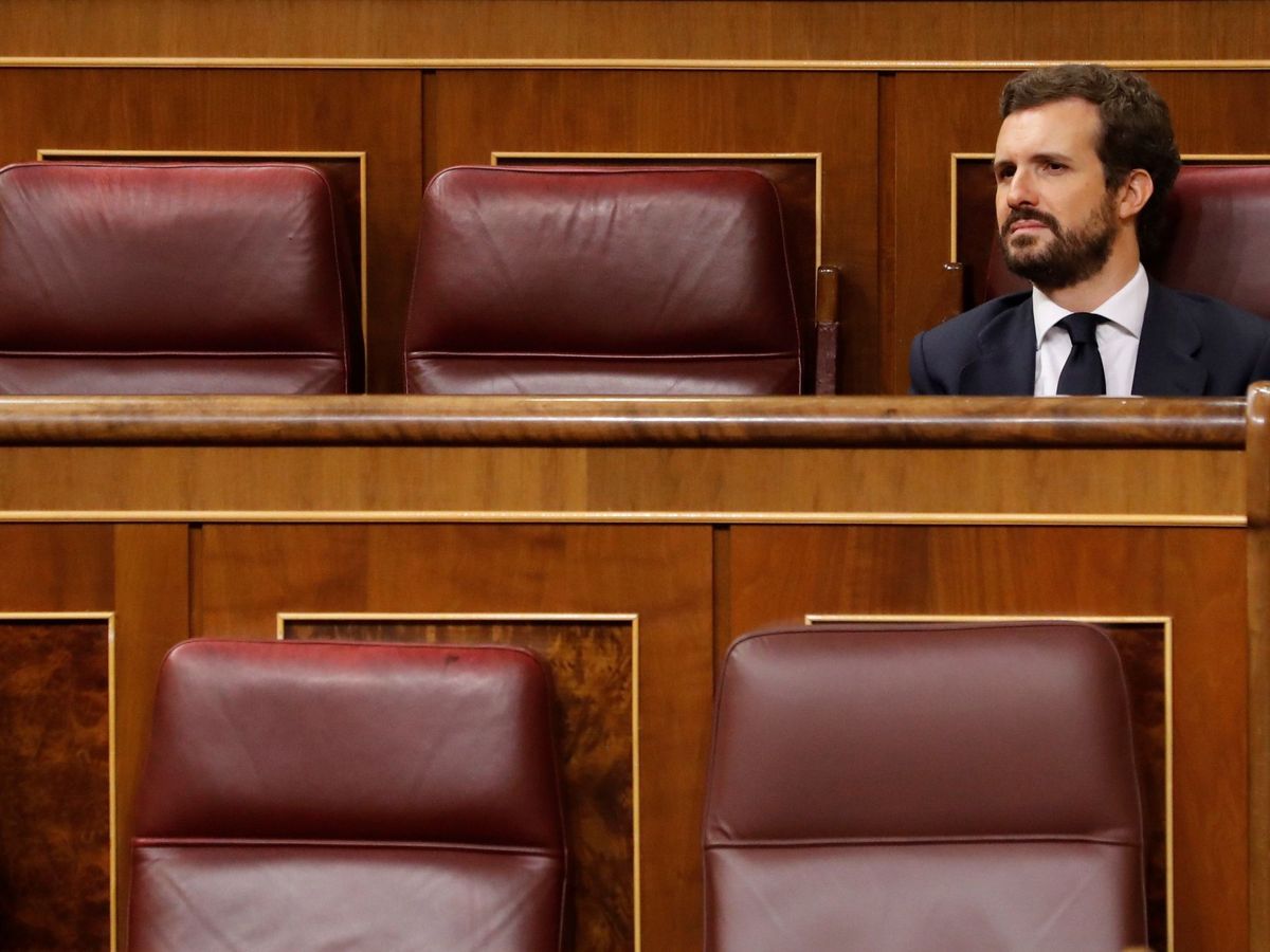 Foto: El líder del PP, Pablo Casado, en el Congreso. (EFE)