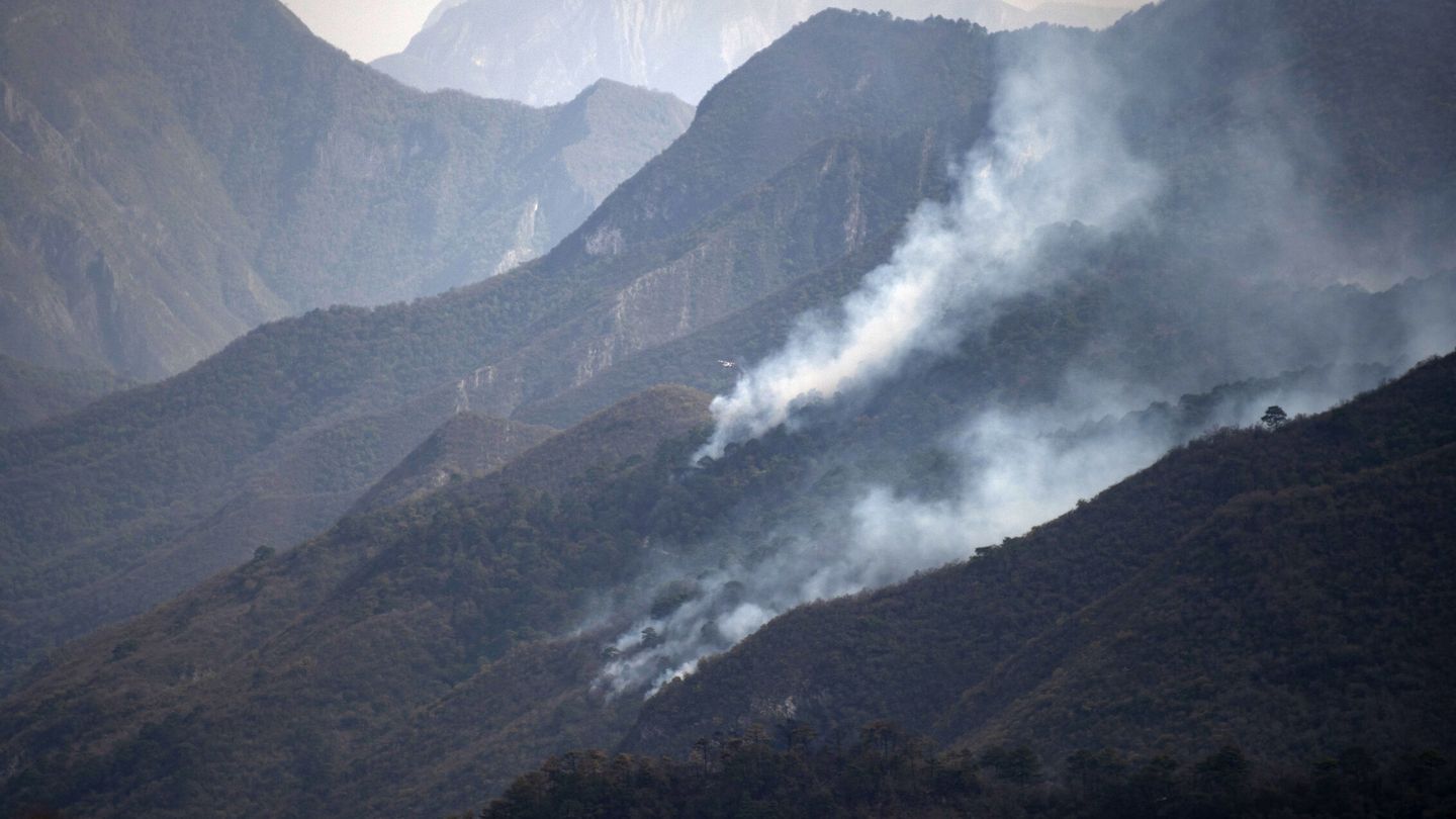 Los incendios forestales exacerban la crisis climática. (EFE)