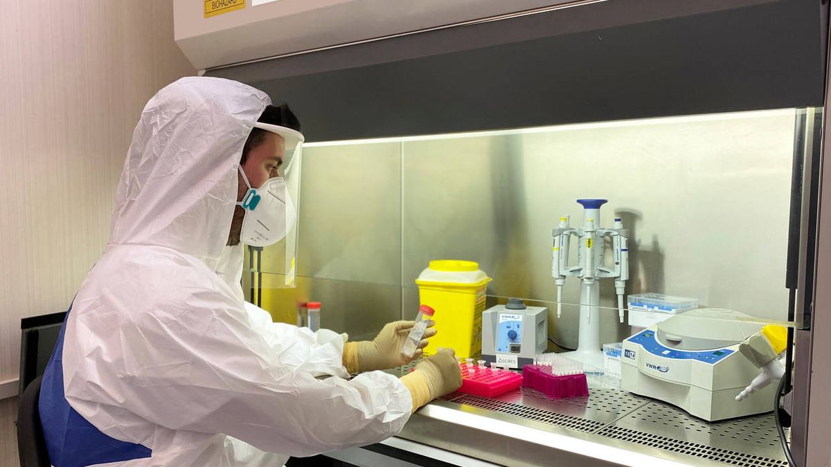 Un test genético PCR español permitirá realizar 7.000 pruebas diarias de covid-19