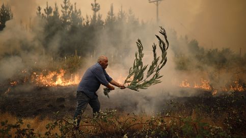 Chile sufre la ola de incendios más mortífera de su historia reciente   