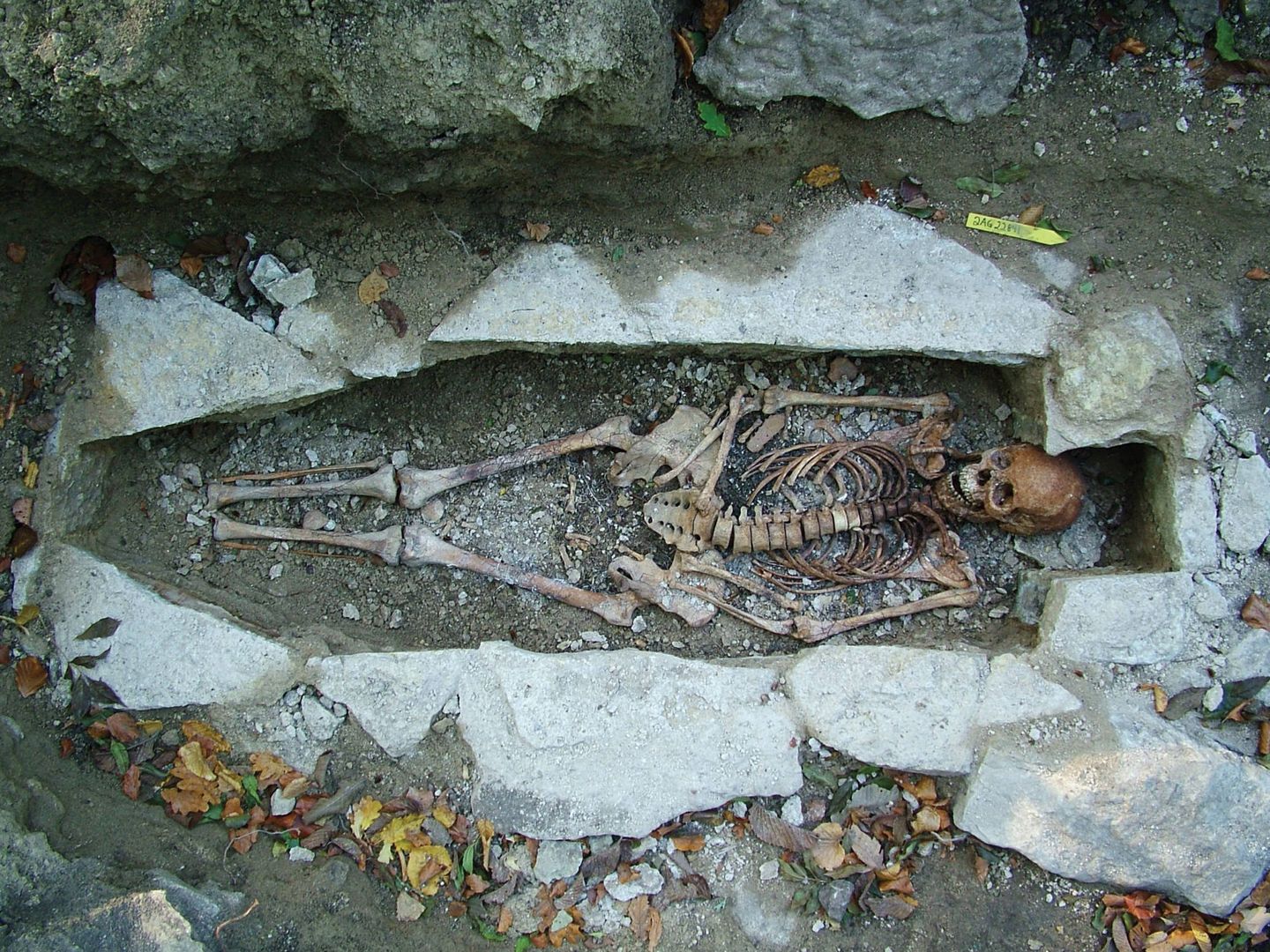 Uno de los esqueletos analizados. Foto: Universidad de Copenhague