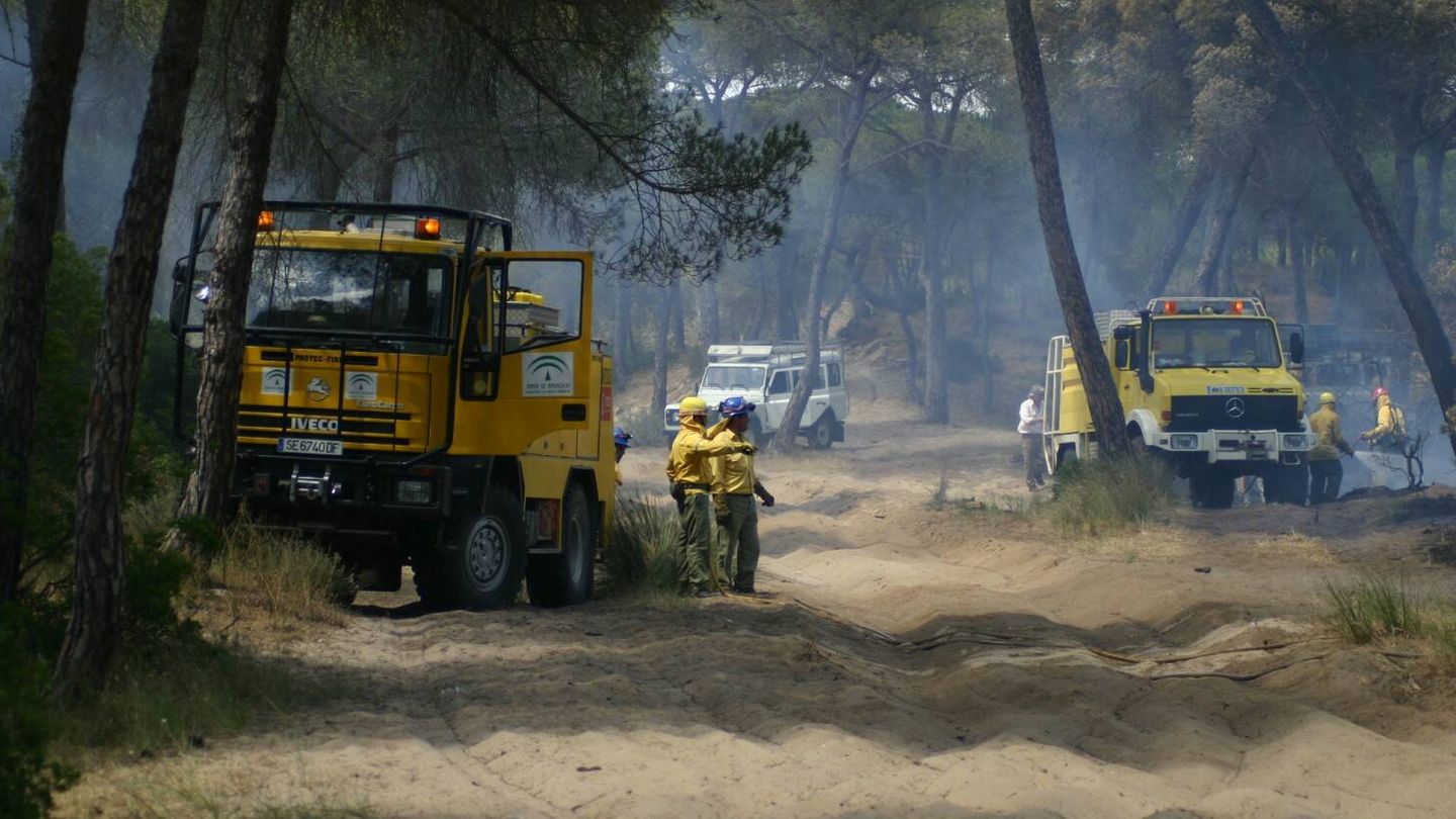 Incendio en Doñana durante la romería de El Rocío (SEO/Birdlife)