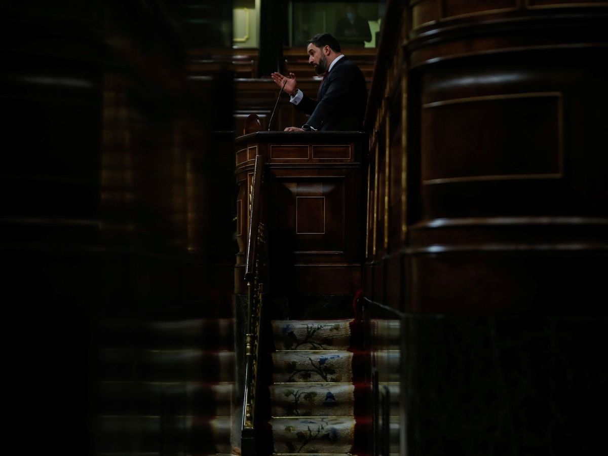 Foto: El líder de Vox, Santiago Abascal, en el Congreso. (EFE)