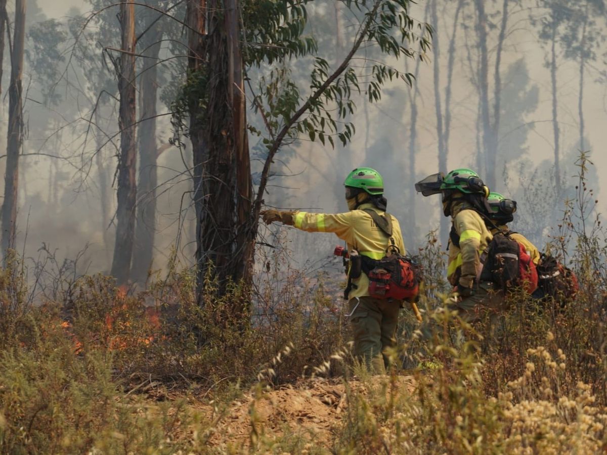 Foto: Bomberos enfrentando a las llamas. (EFE)