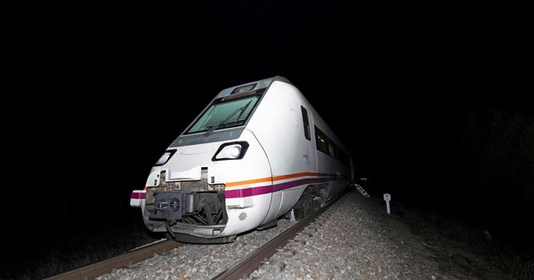 Foto: Un tren que cubría la línea Madrid-Zafra descarriló el pasado 14 de enero. (EFE)