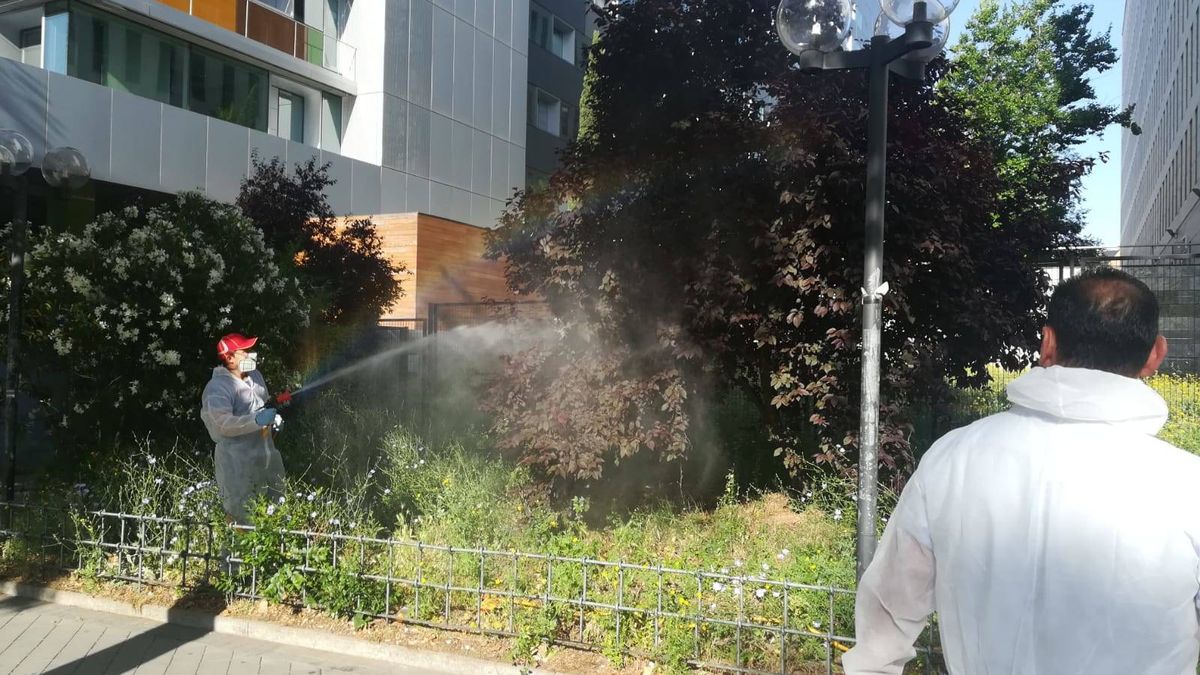 La Comunidad fumiga los juzgados de Plaza de Castilla por una plaga de mosquitos