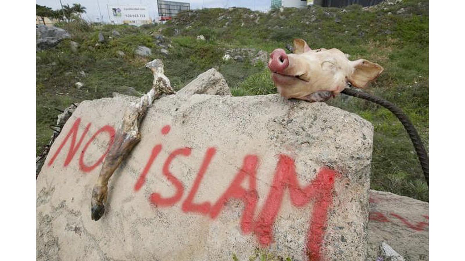 Foto: Aparecen restos de animales sacrificados y pintadas en los terrenos de la futura mezquita islámica.  (Fotografía: Quique Curbelo / La Provincia. Diario de las Palmas)
