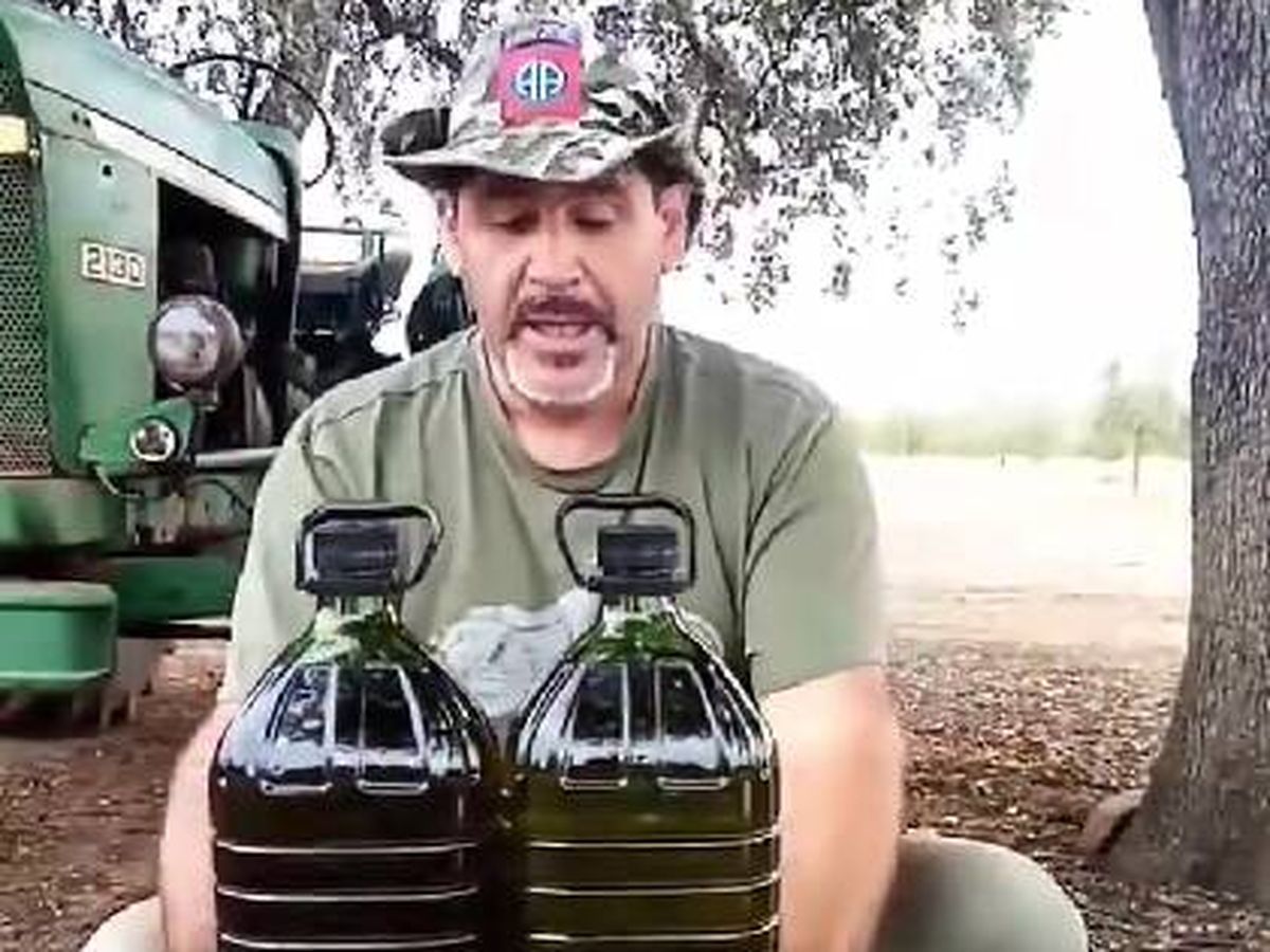Foto: Un agricultor explica el motivo concreto por el que ha subido el precio del aceite de oliva.(TikTok)
