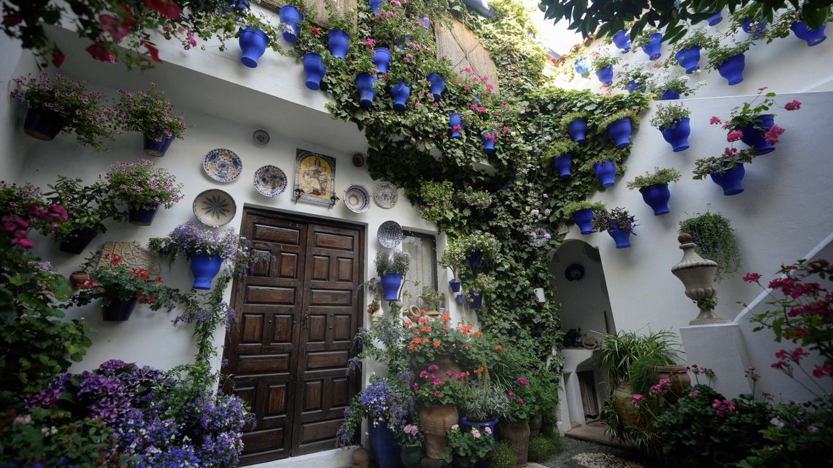 Los patios de mayo en Córdoba abren sus puertas: horario, programa y lugares imprescindibles