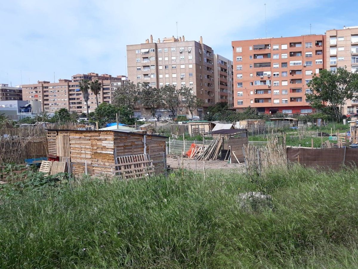Foto: Parcelas ocupadas por huertos y construcciones de palés y maderas en el barrio de Benimaclet.