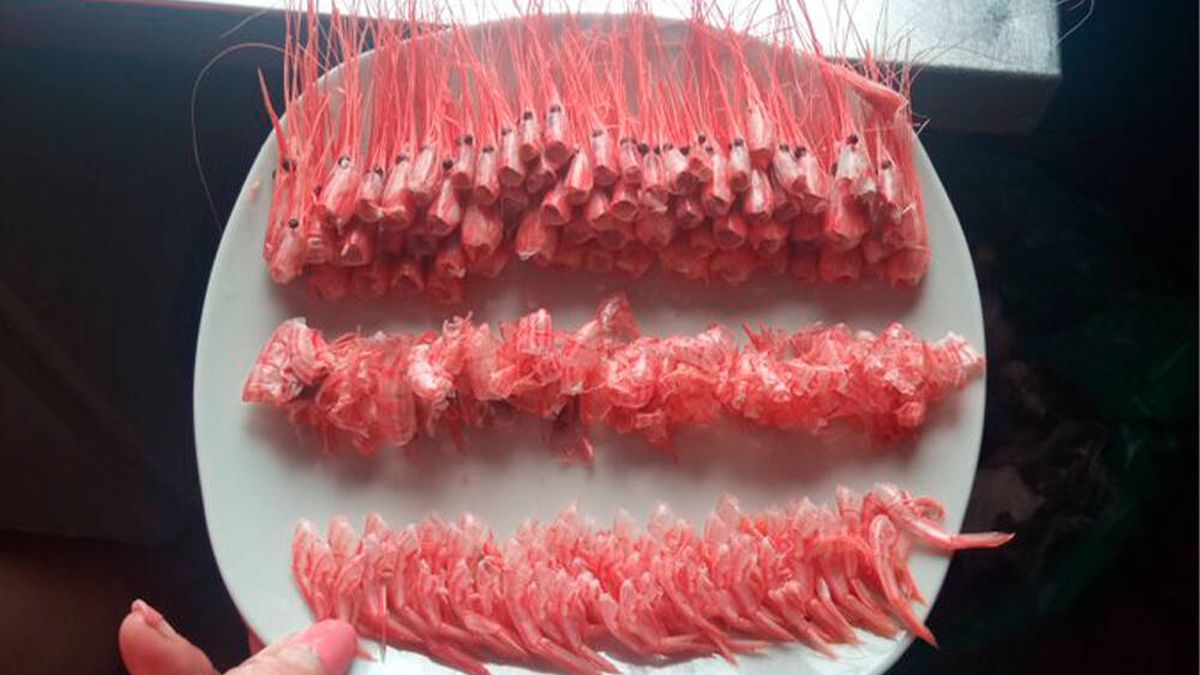 La increíble forma en la que una clienta devuelve un plato de camarones se hace viral