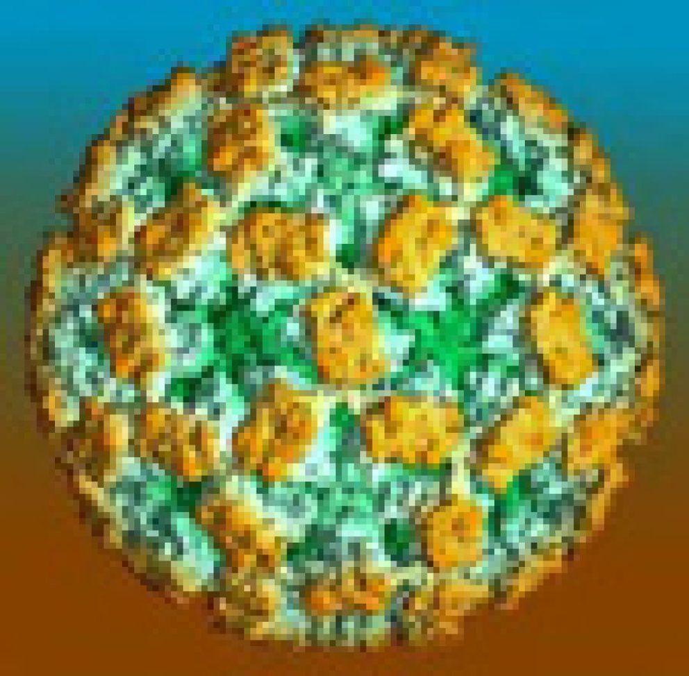 Foto: Disponible en España la vacuna oral frente a la gastroenteritis por rotavirus