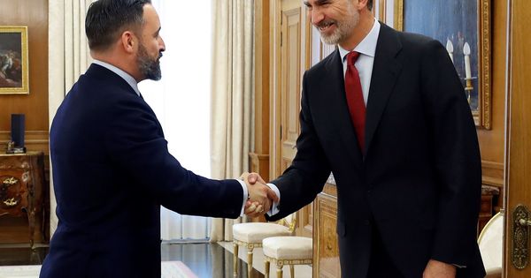 Foto: El Rey recibe en la ronda de consultas al diputado y presidente de Vox Santiago Abascal. (EFE)