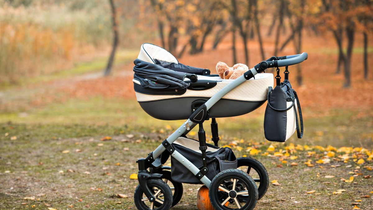 Carros deportivos para bebés para usar desde el nacimiento hasta los tres  años. - Factoría del bebé