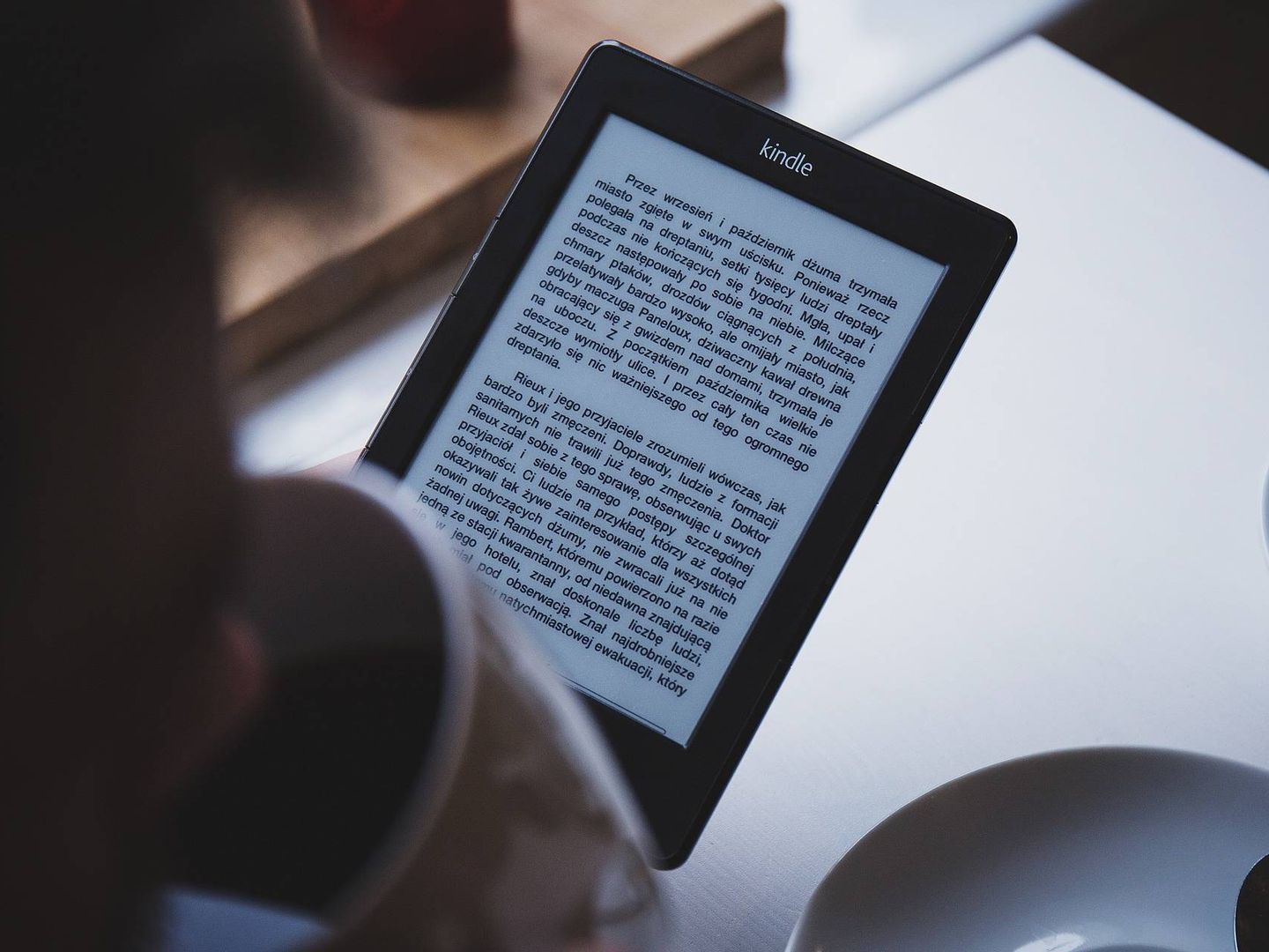 Una persona leyendo un ebook (Pixabay)