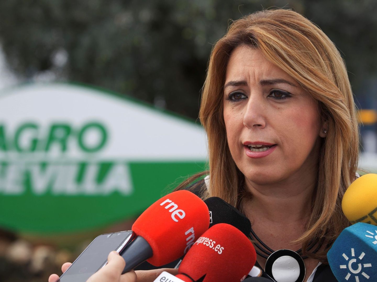 La presidenta andaluza, Susana Díaz. (EFE)