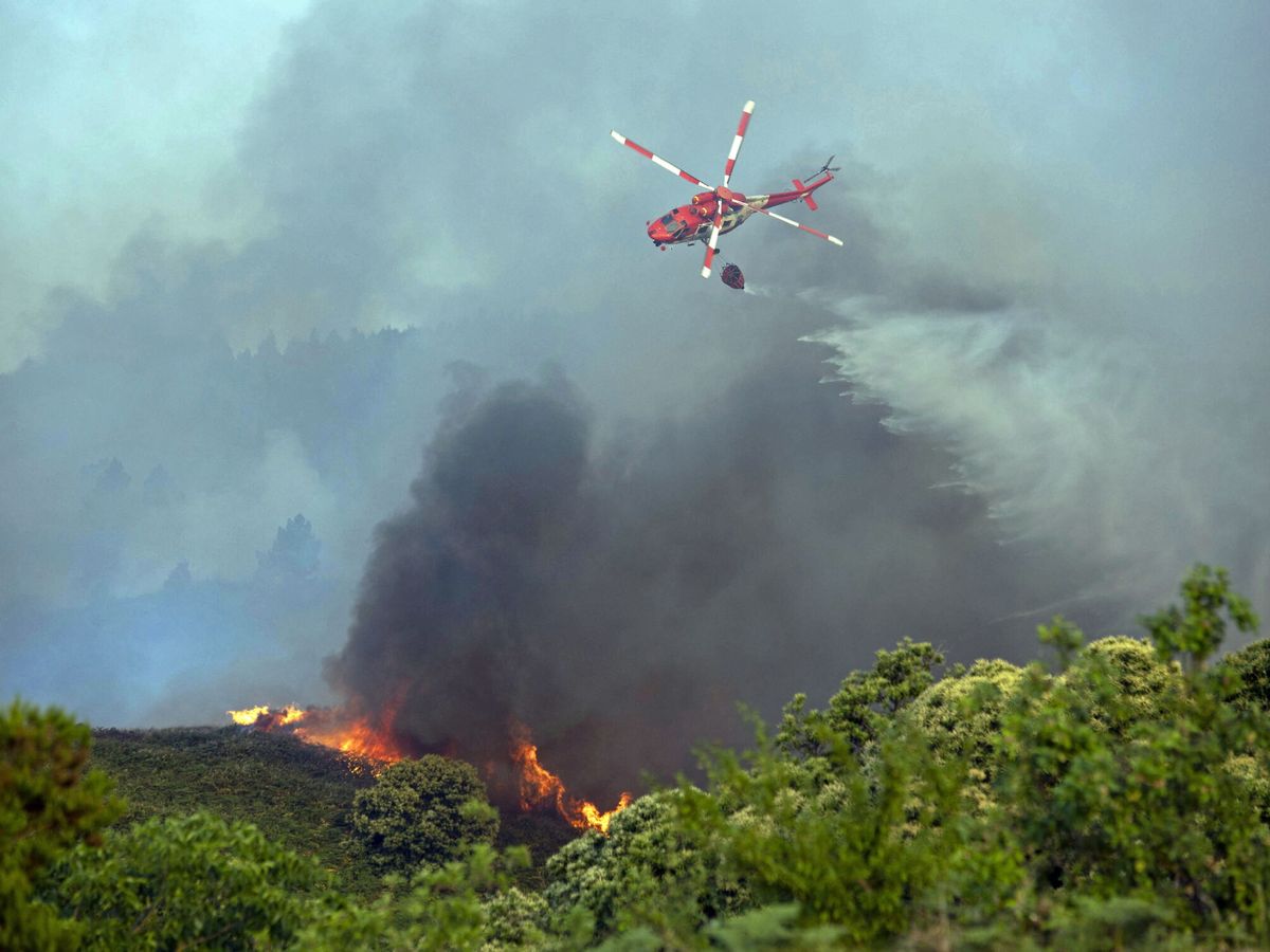 Foto: Incendio forestal en Los Realejos (Tenerife). (EFE/Miguel Barreto)
