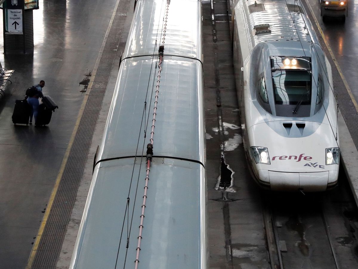 Foto: Trenes AVE en la estación de Atocha. (EFE)