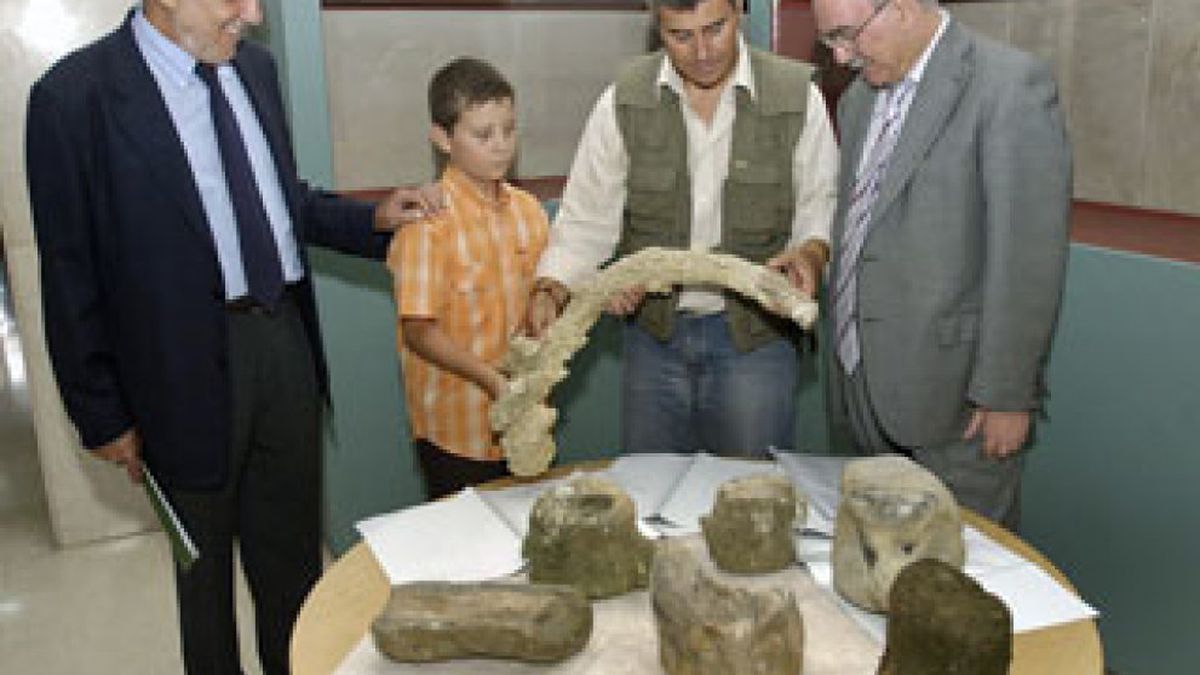 Hallan restos de cetáceos con más de 3,5 millones de años en una playa de Huelva