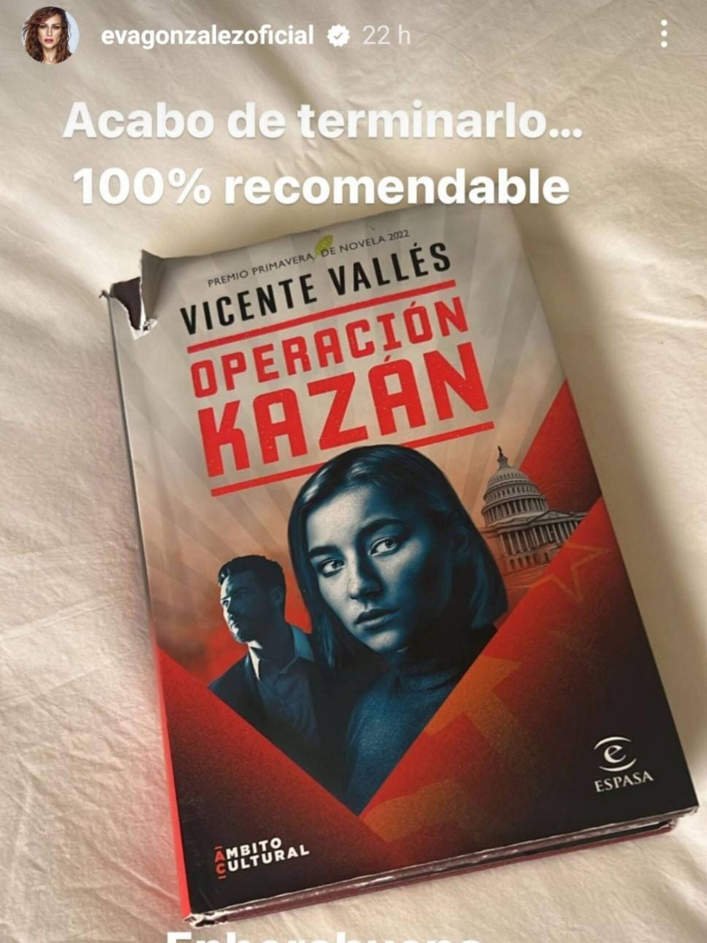 Eva González recomienda la obra de Vicente Vallés al 100%. (Instagram/@evagonzalezoficial)
