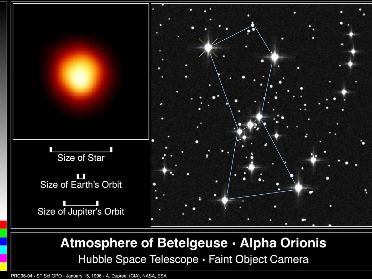 Foto: Gráfico que muestra el tamaño de la estrella Betelgeuse. (Wikimedia Commons)