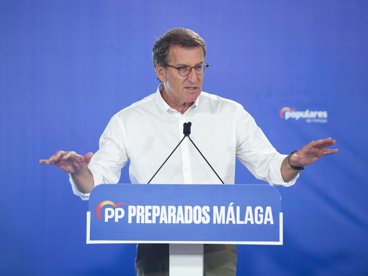 Foto: El líder del PP, Alberto Núñez Feijóo (EFE/Daniel Pérez)