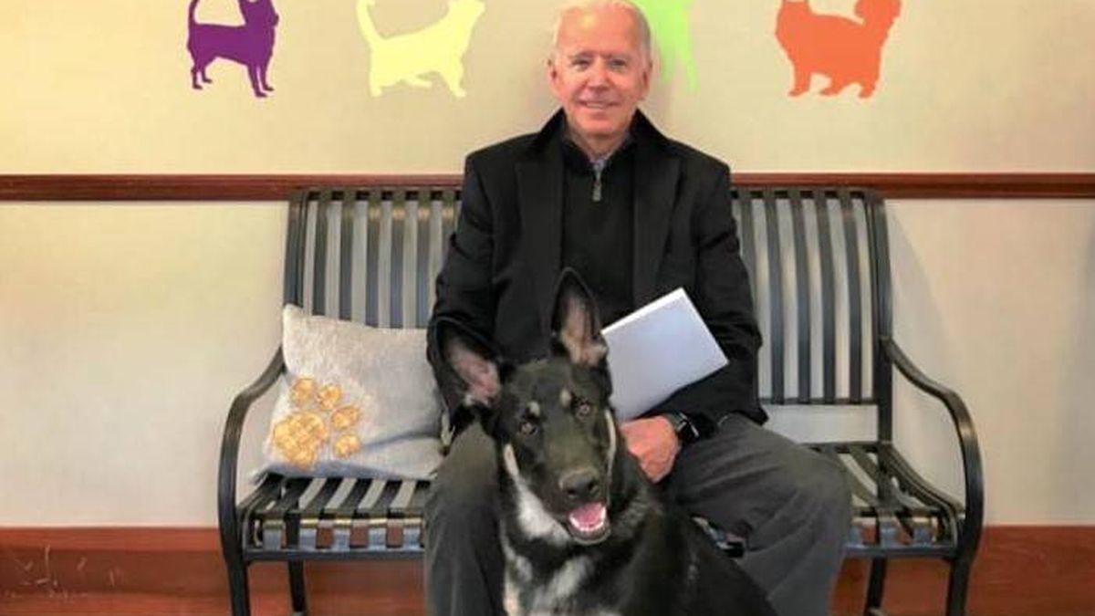 La historia de Major, el perro de Joe Biden: de un refugio de animales a la Casa Blanca