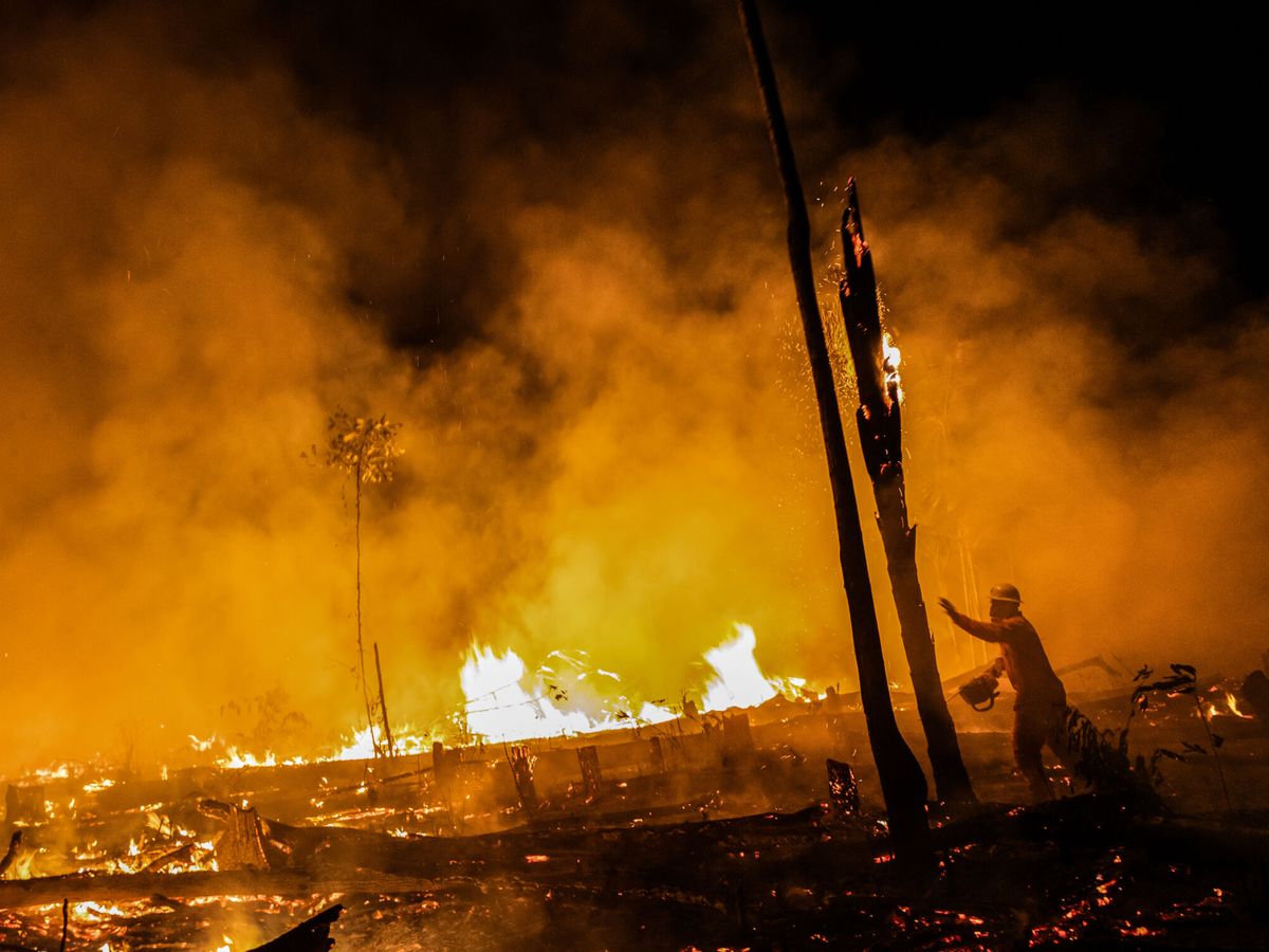 Foto: Los incendios forestales en Canadá del pasado verano han tenido un fuerte impacto (EFE/Raphael Alves)