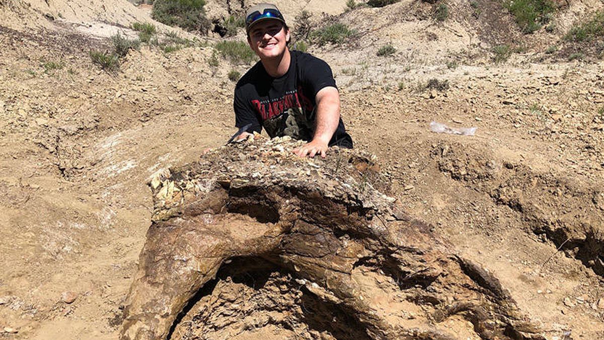 Un estudiante descubre el cráneo de un dinosaurio de hace 65 millones de años