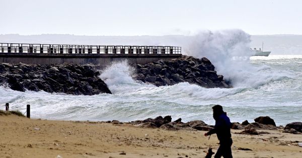 Foto: Un vecino observa las olas en la Playa de Can Pere Antoni de Palma. (EFE)