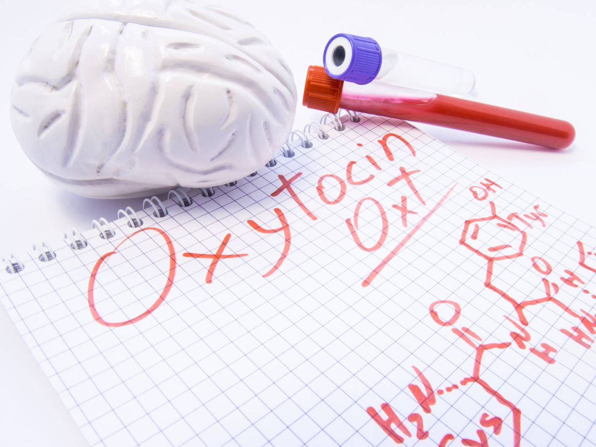 Foto: Oxitocina, la hormona del amor. (iStock)