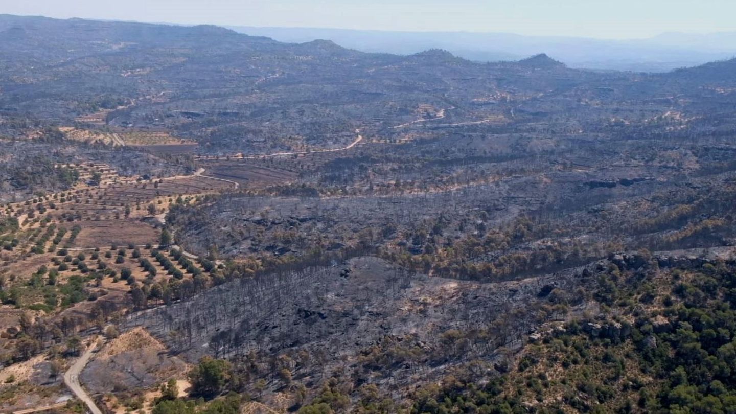 Vista aérea de la zona afectada por el incendio de la Ribera d'Ebre. (Efe)