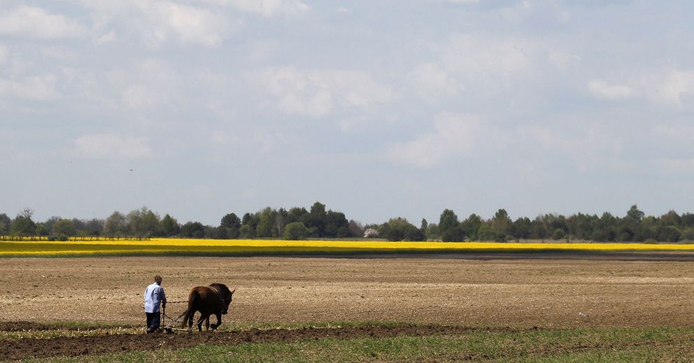 Un agricultor ucraniano trabaja en un campo cercano al pueblo de Bugayvka (Reuters).
