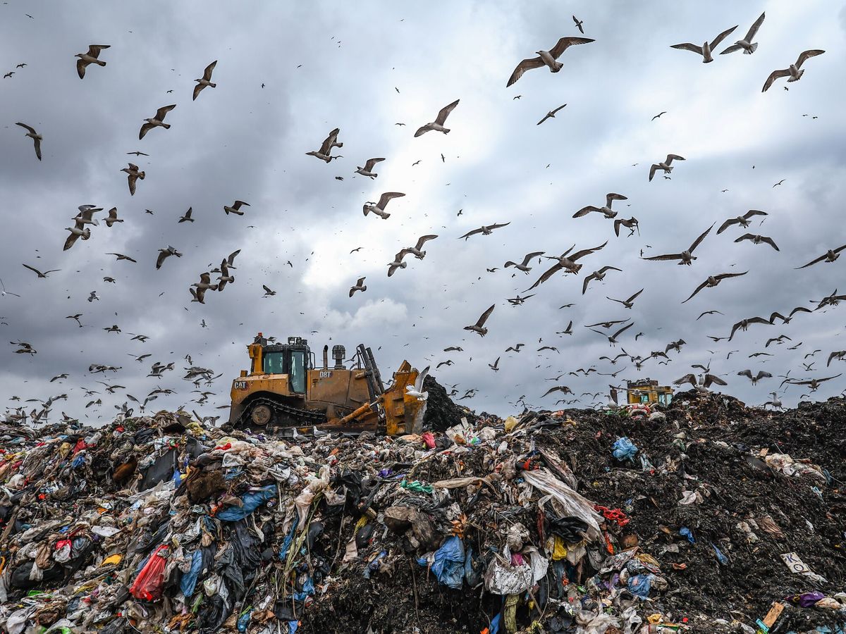 Nuevo tirón de orejas de la UE por el reciclaje: ¿qué hacemos mal?