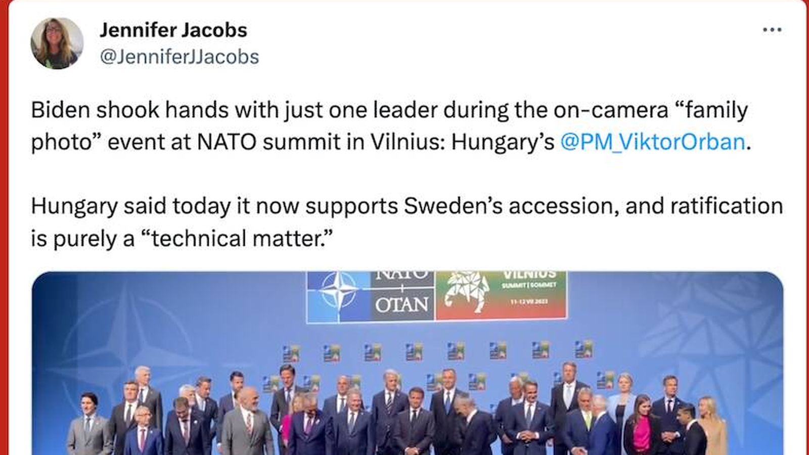 Cumbre de la OTAN, Vilna. (Twitter)
