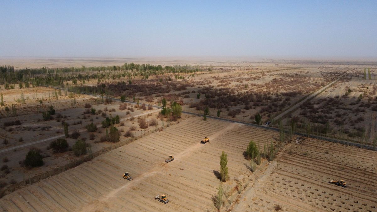 China quiere rentabilizar los desiertos y convertirlos en tierras cultivables