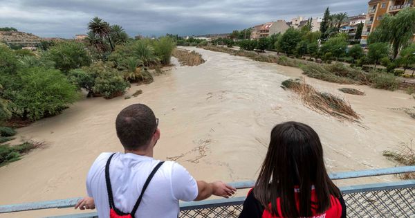 Foto: Dos chicos observan la crecida del río Segura tras desbordarse por las dos márgenes a su paso por Archena, Murcia. (EFE)