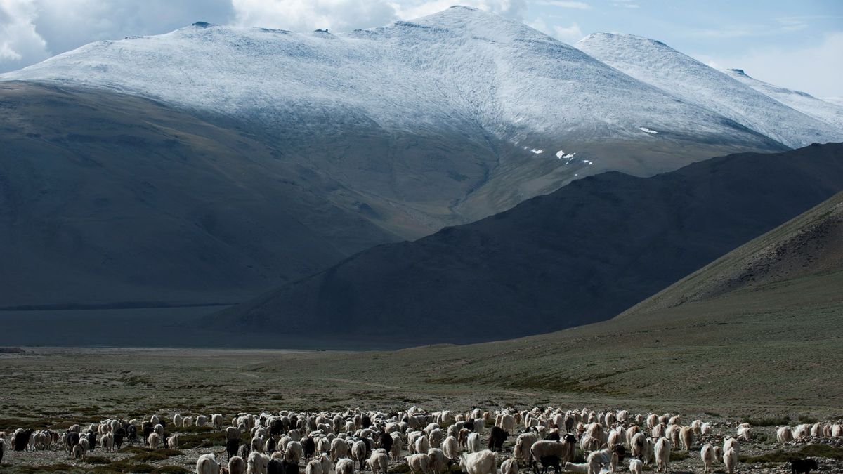 Los humanos contaminamos el Himalaya casi 200 años antes de pisarlo