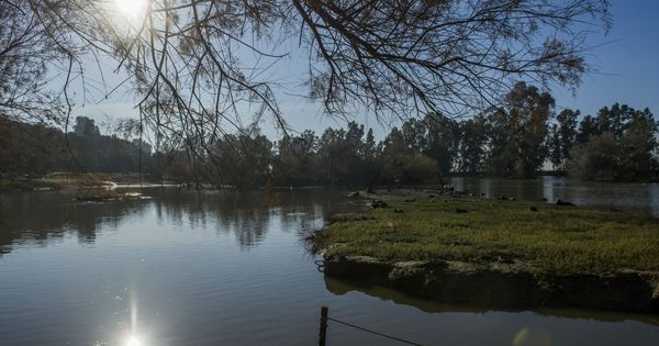 Foto: Vista de la Cañada de los Pájaros, primera reserva natural concertada de España, ubicada en Puebla del Río (Sevilla), en el Espacio Natural de Doñana. (EFE)