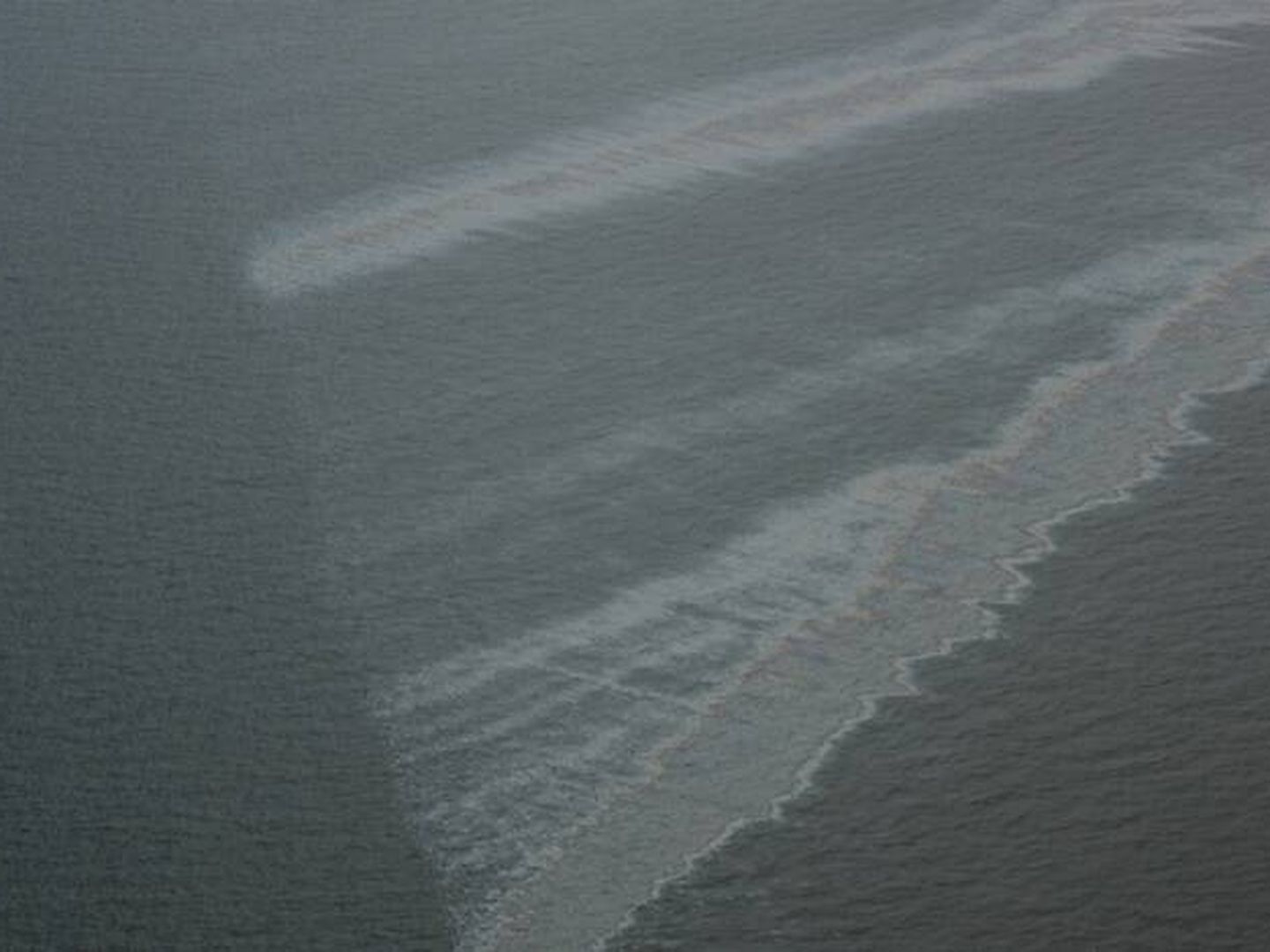Manchas de aceite y petróleo en la costa caribeña de EEUU. (Ian MacDonald, Florida State University)