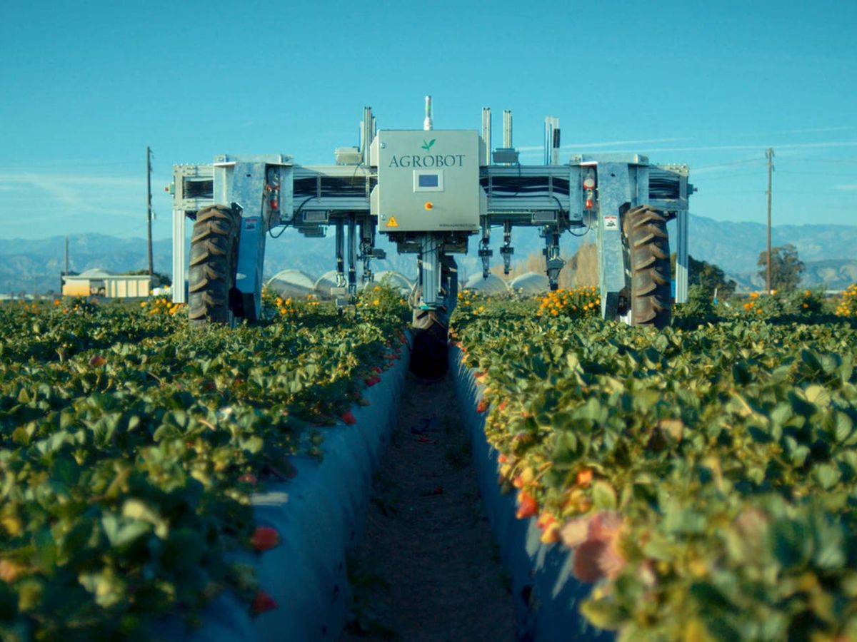 Photo: One of the farmer robots that come.  (Agrobot)