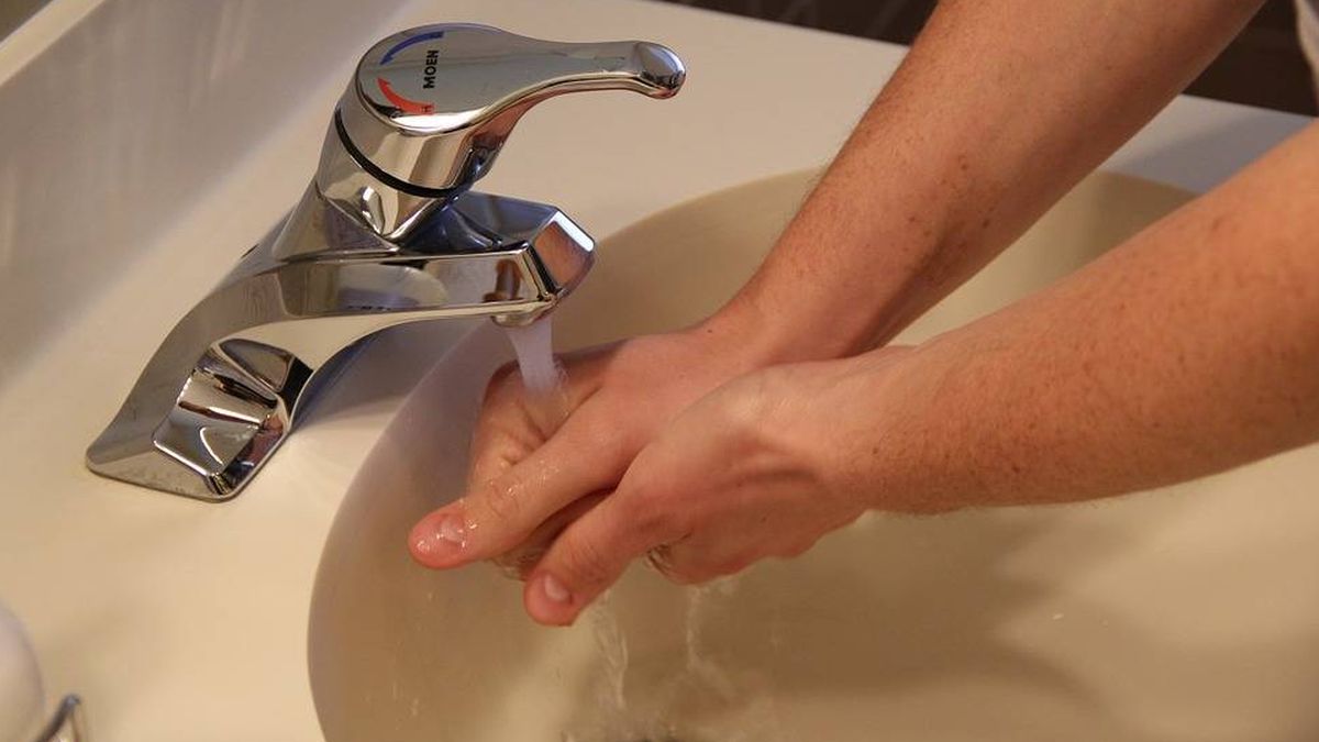 Lávate las manos tras ir al baño y di adiós a la bacteria E.coli